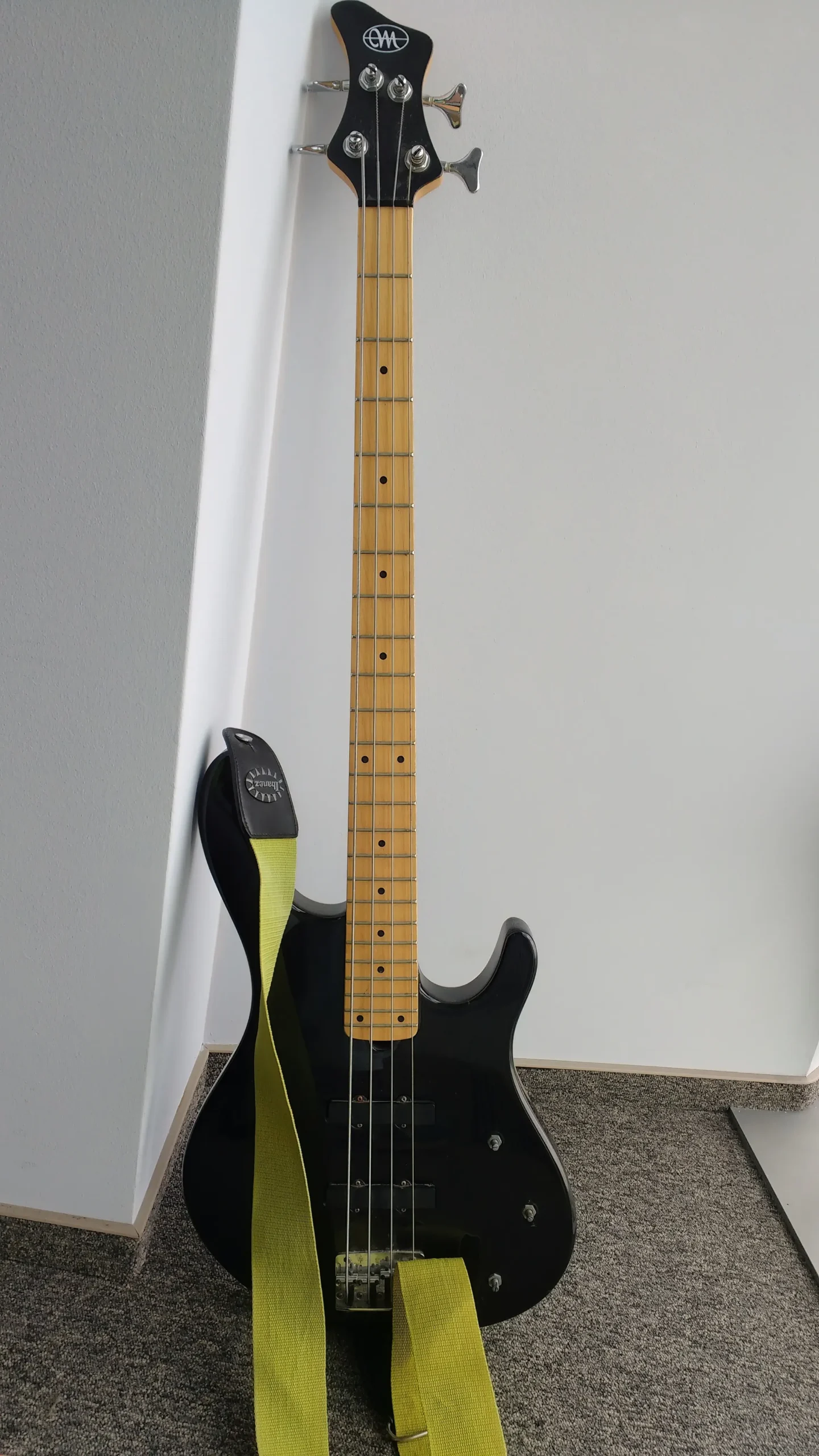 Jaki to model gitary basowej Mayones 2