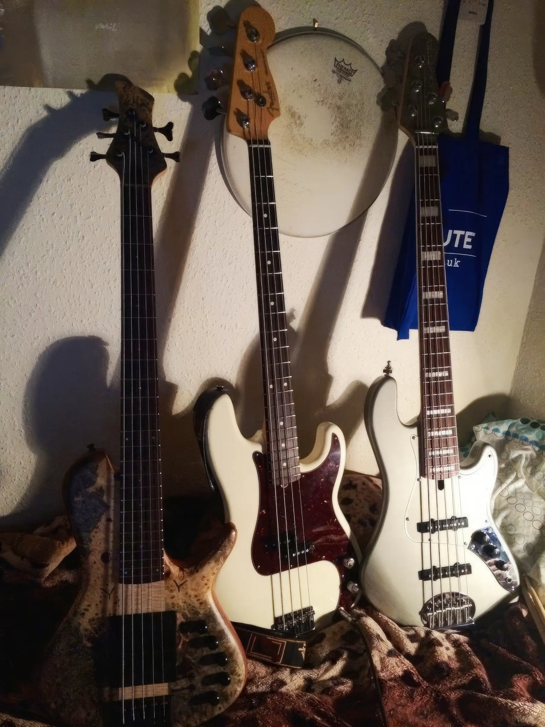 bass kolekcja basów