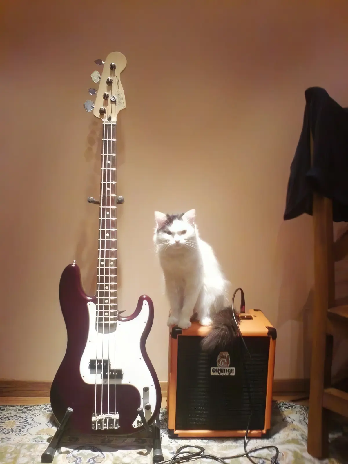 Fender P-Bass Std MIM'06 + Orange Crush 20B = sprzęt do grania w domu