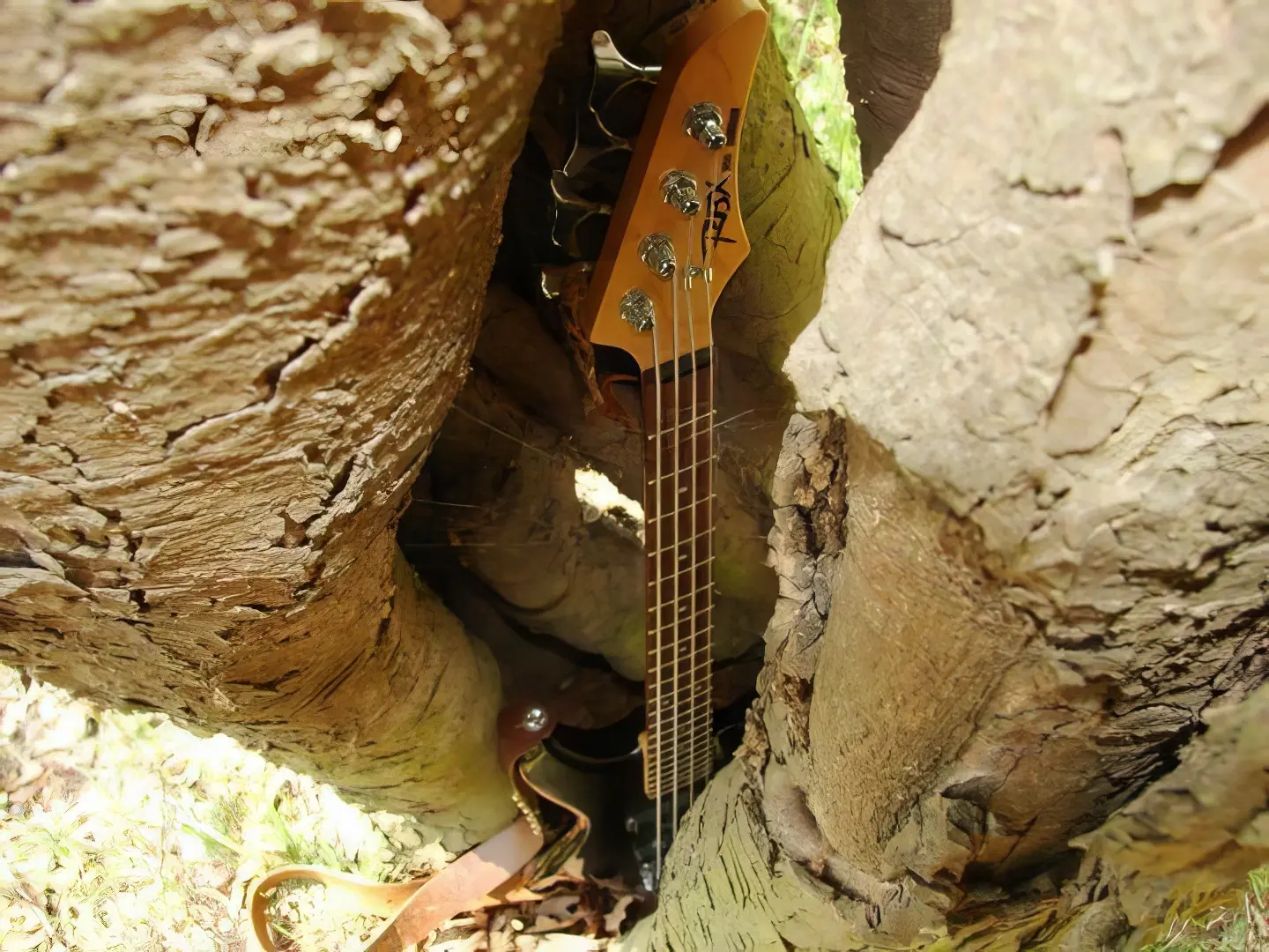 gitara yamaha rbx 350